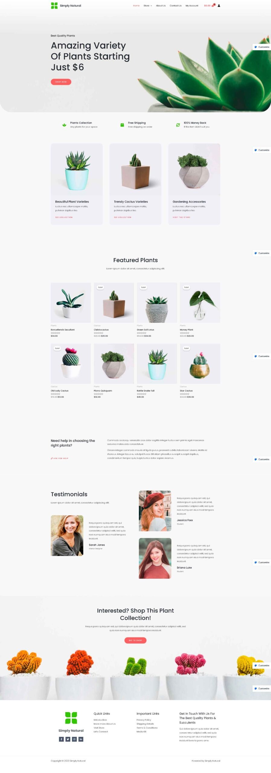 diseño pagina web productos